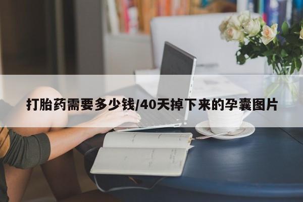 流产药网上专门卖店微信打胎药需要多少钱/40天掉下来的孕囊图片