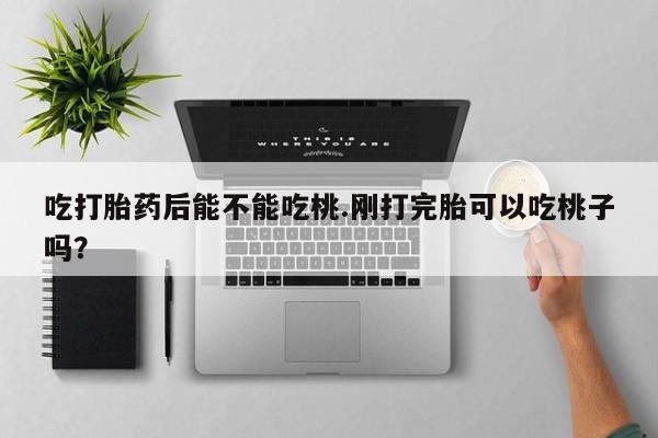 流产药网上专门卖店微信吃打胎药后能不能吃桃.刚打完胎可以吃桃子吗？